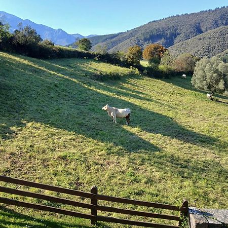 Apartamentos Calm & Nature - Adults Only Cabezón de Liébana 外观 照片