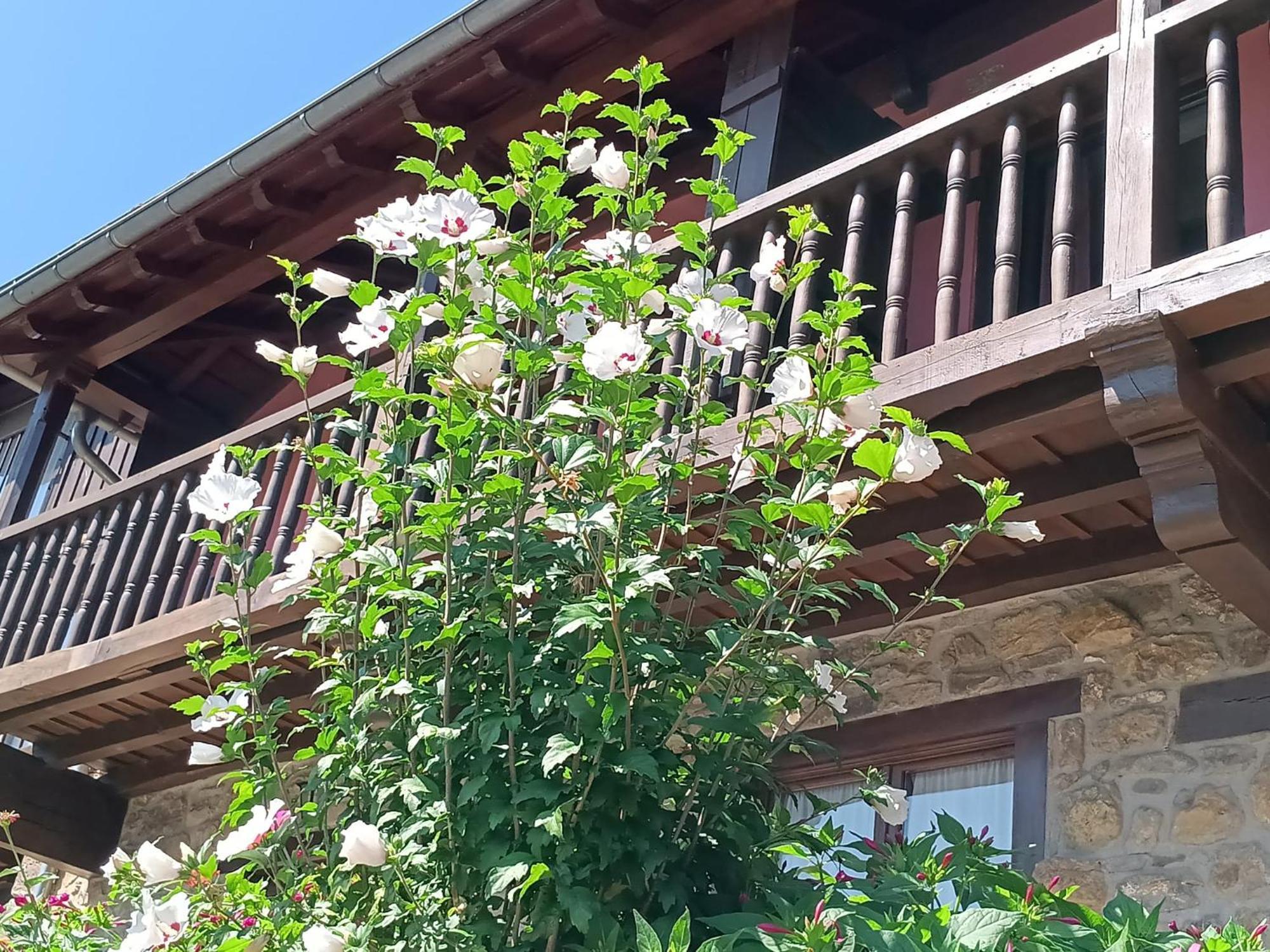 Apartamentos Calm & Nature - Adults Only Cabezón de Liébana 外观 照片