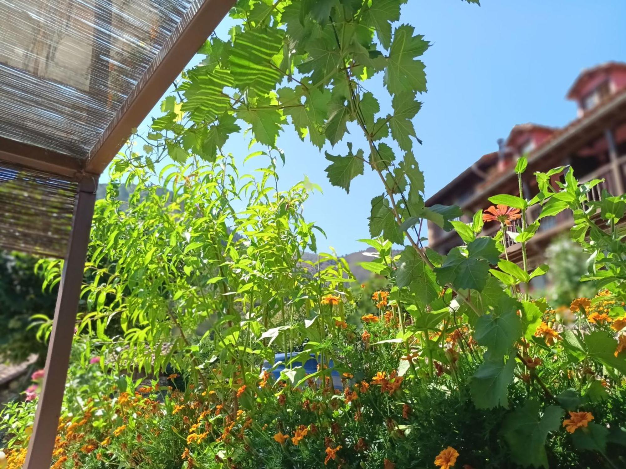 Apartamentos Calm & Nature - Adults Only Cabezón de Liébana 外观 照片