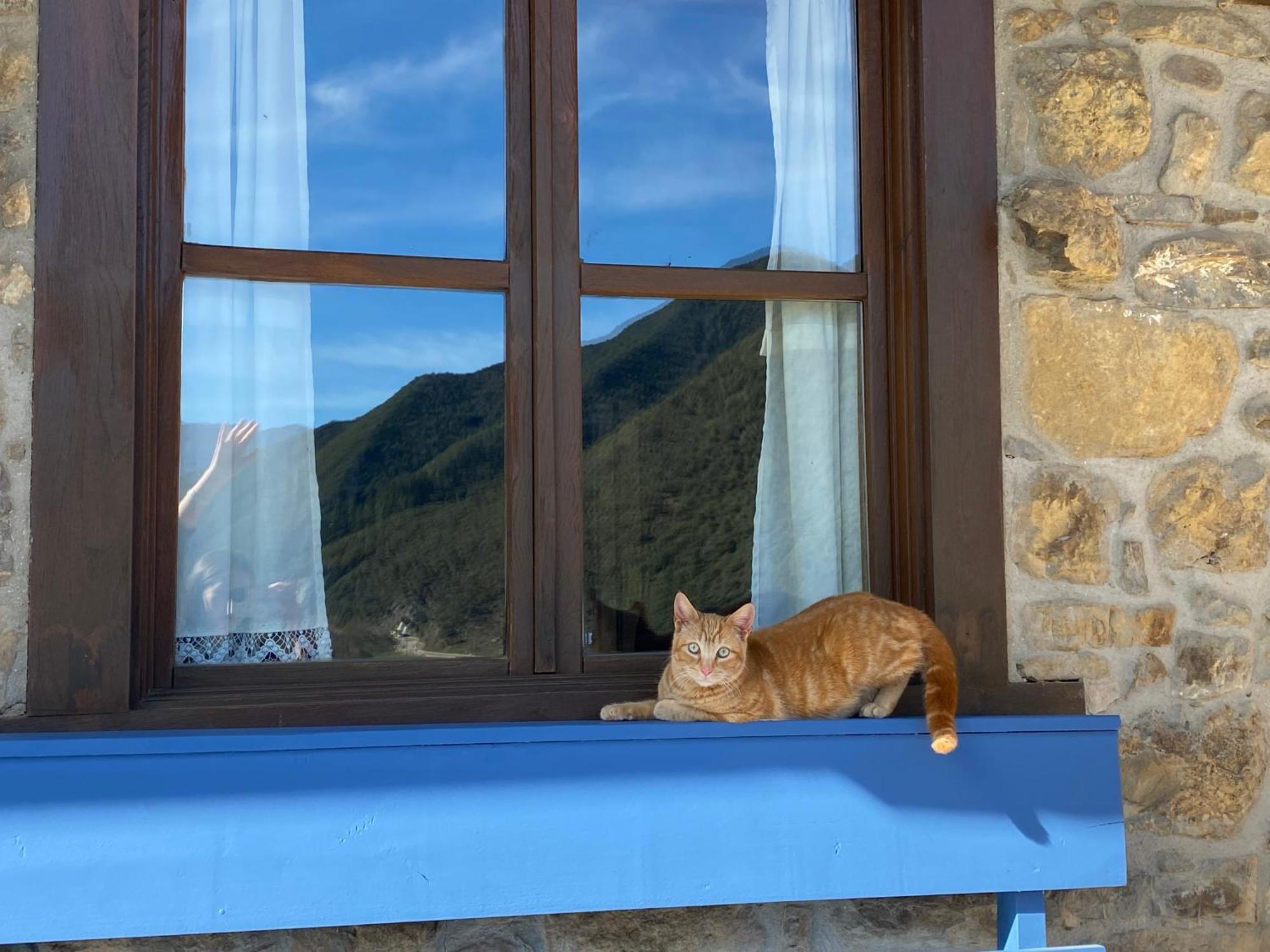 Apartamentos Calm & Nature - Adults Only Cabezón de Liébana 外观 照片