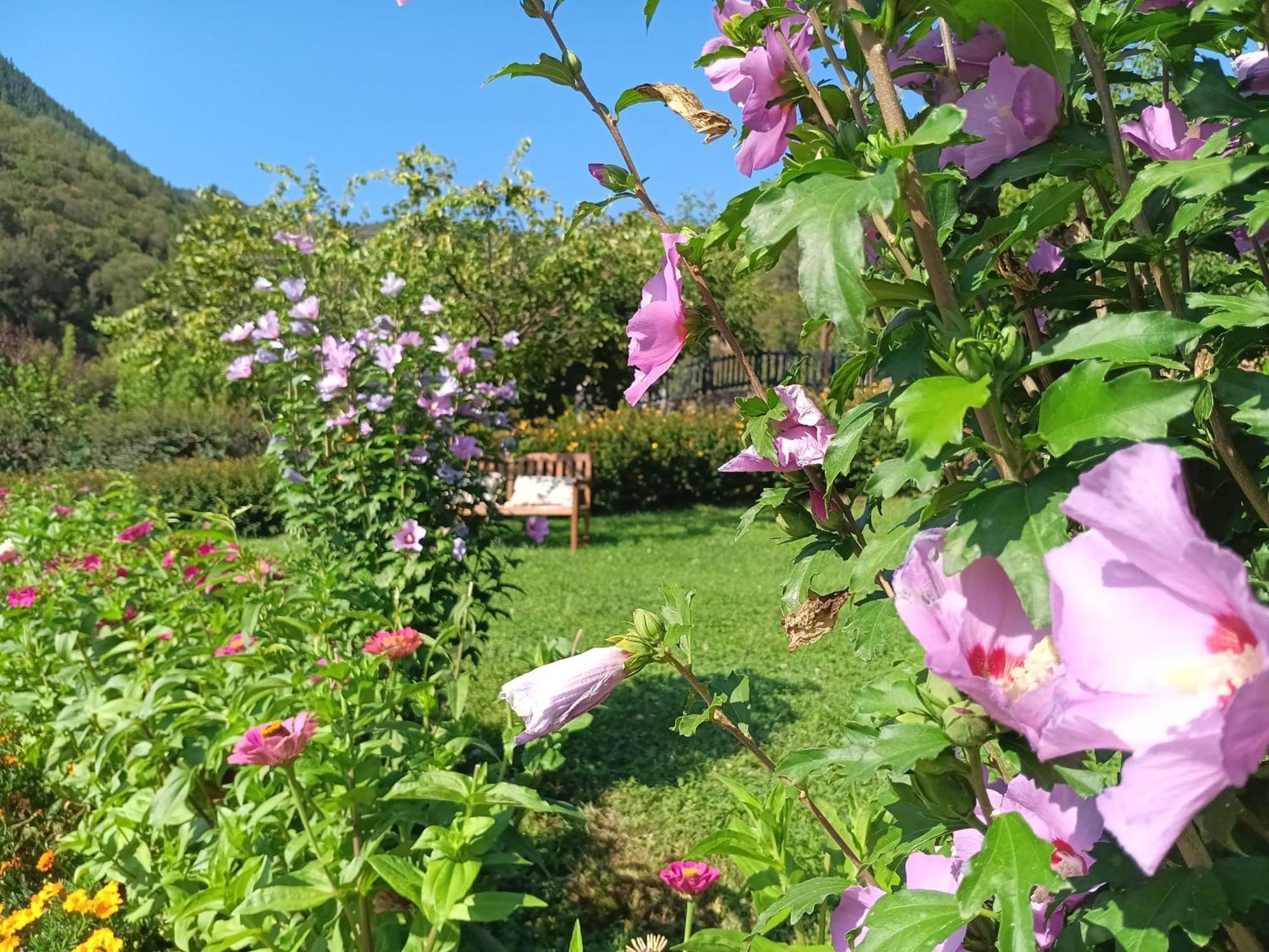 Apartamentos Calm & Nature - Adults Only Cabezón de Liébana 外观 照片