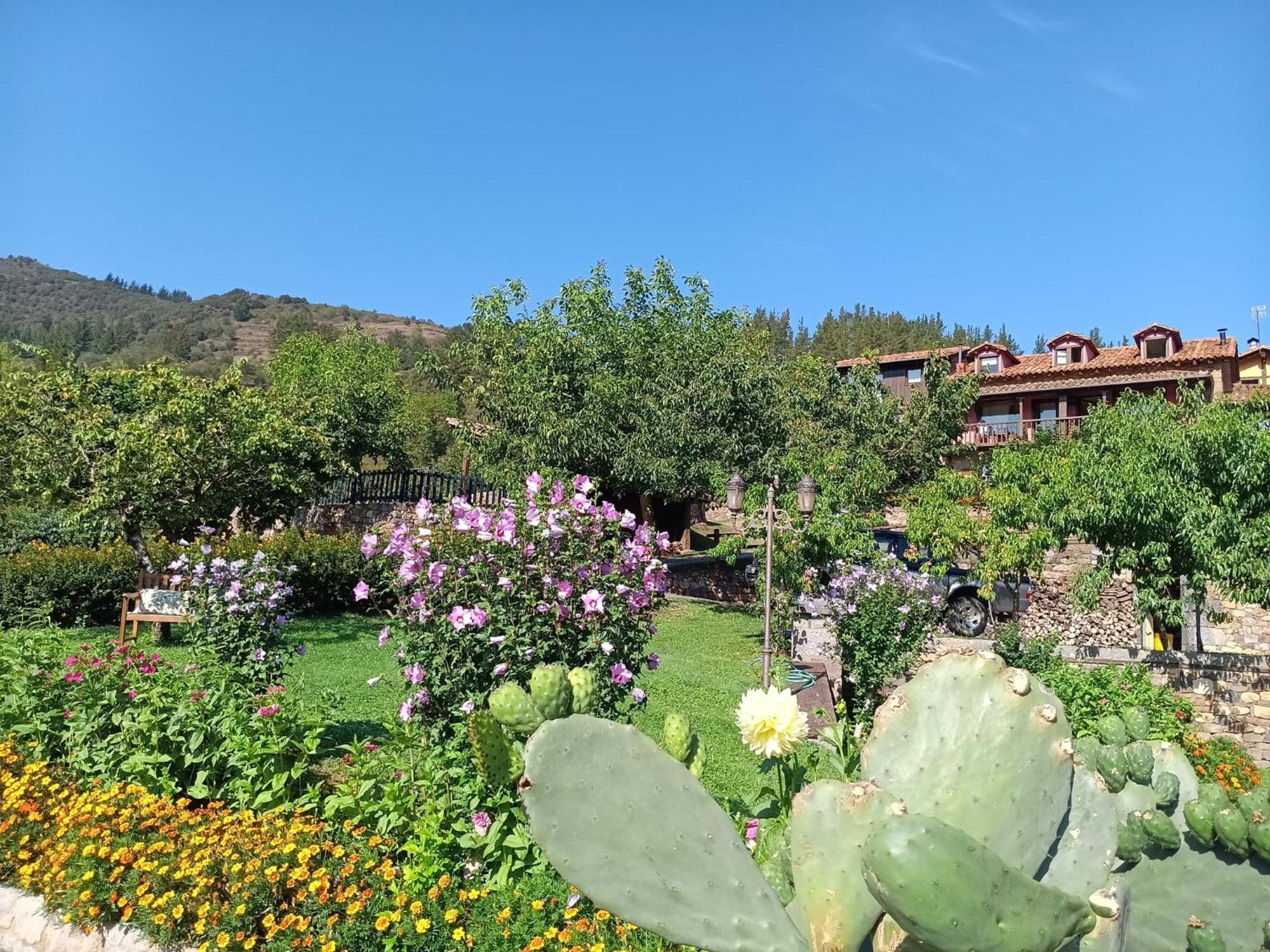 Apartamentos Calm & Nature - Adults Only Cabezón de Liébana 外观 照片