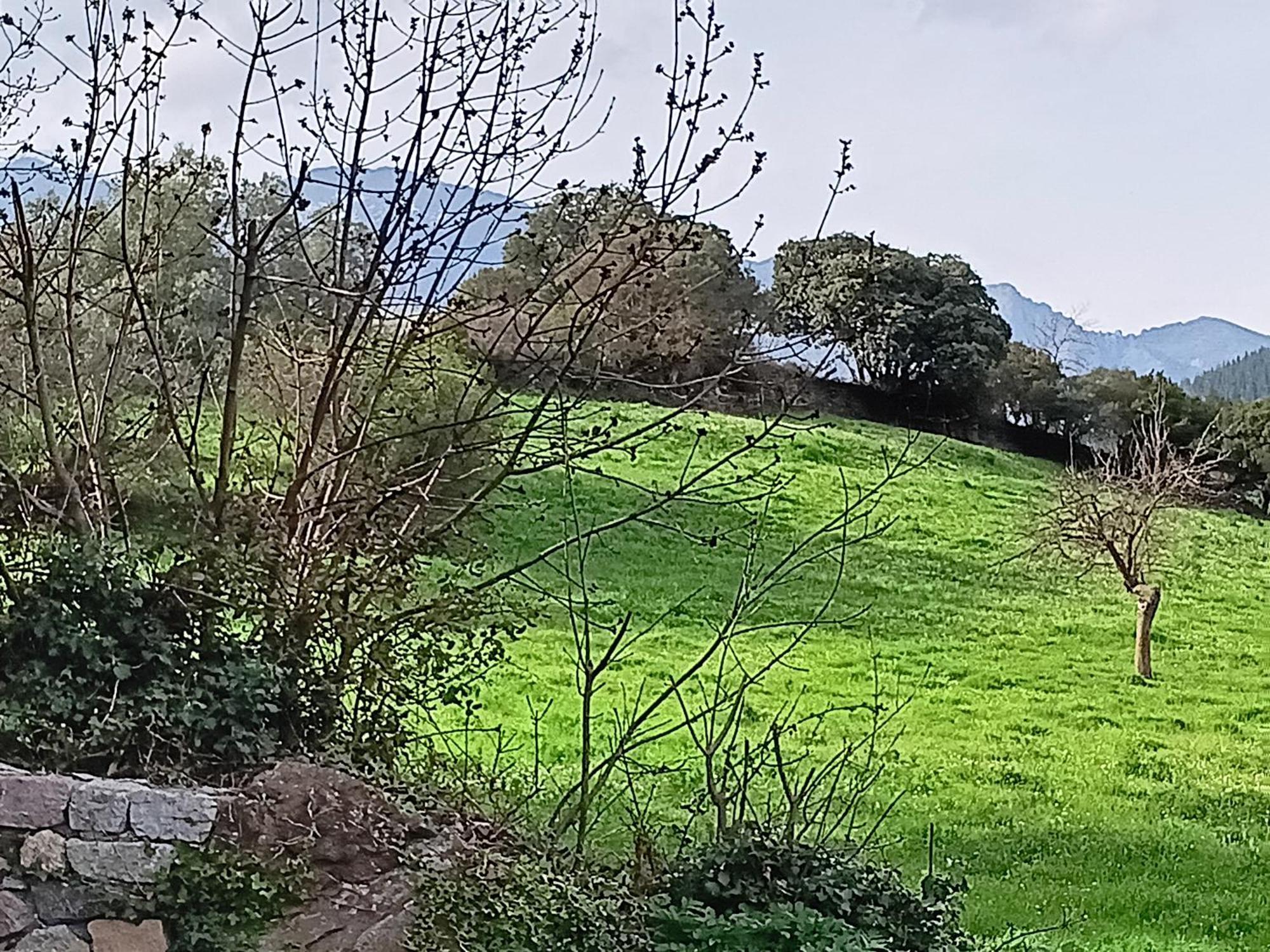 Apartamentos Calm & Nature - Adults Only Cabezón de Liébana 外观 照片