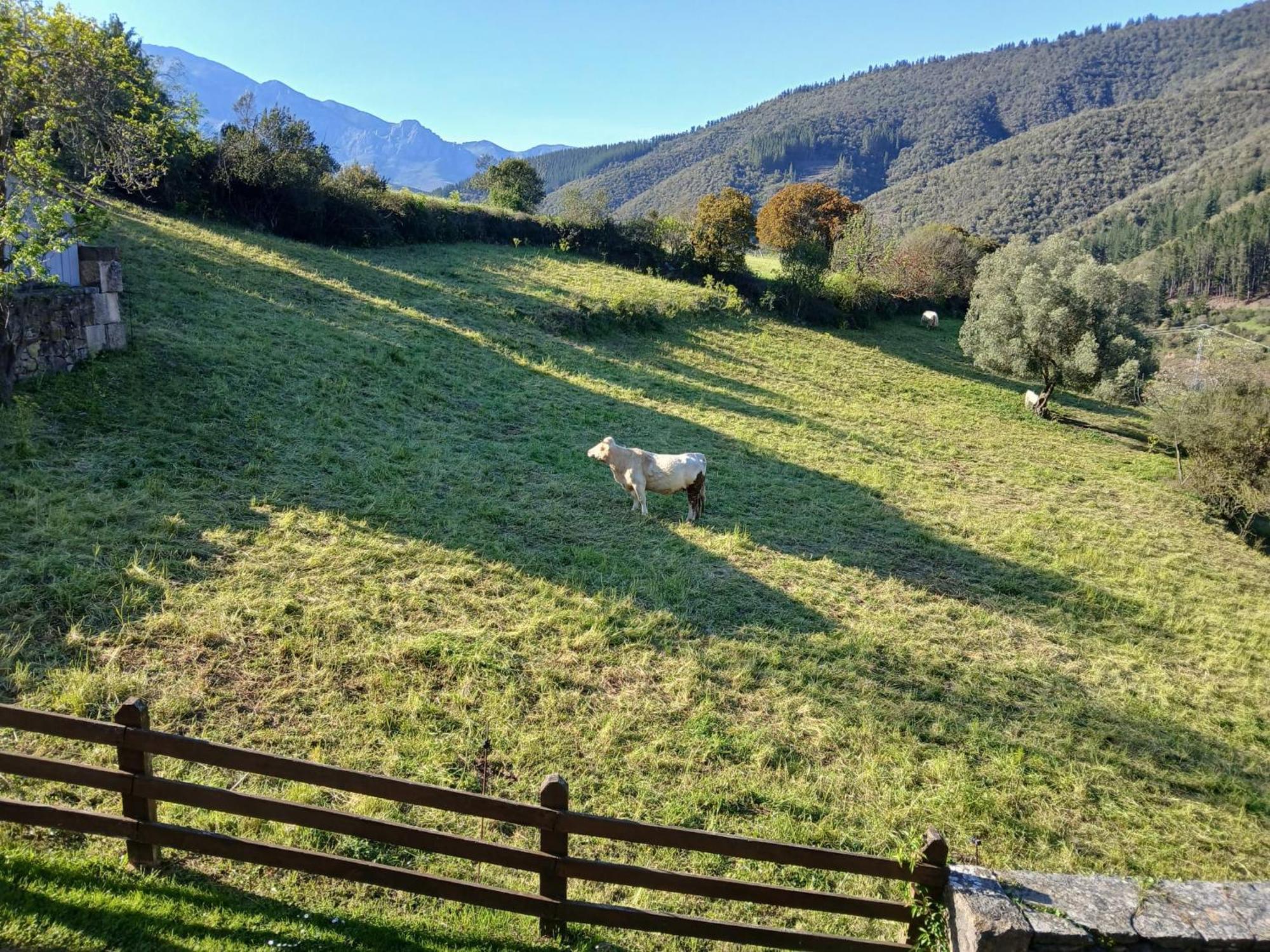 Apartamentos Calm & Nature - Adults Only Cabezón de Liébana 外观 照片